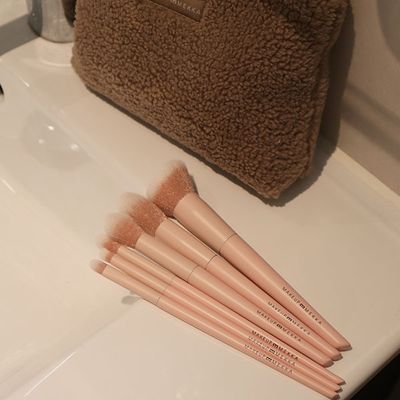 Soft Pink Brush Set